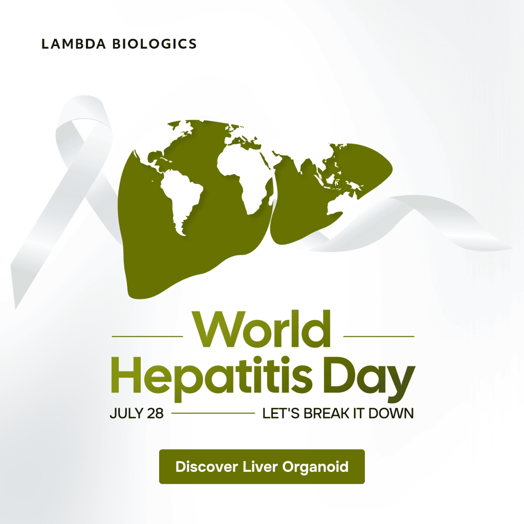 World Hepatitis Day 2026